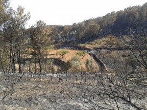 incendi_lliria_concordia_2012